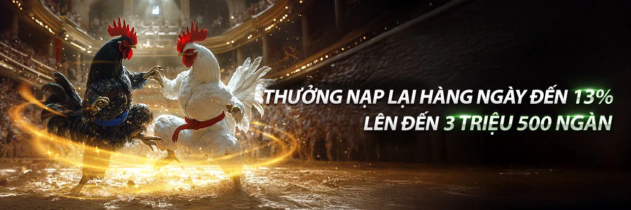 Hình ảnh giới thiệu SV66 trang chủ chính thức